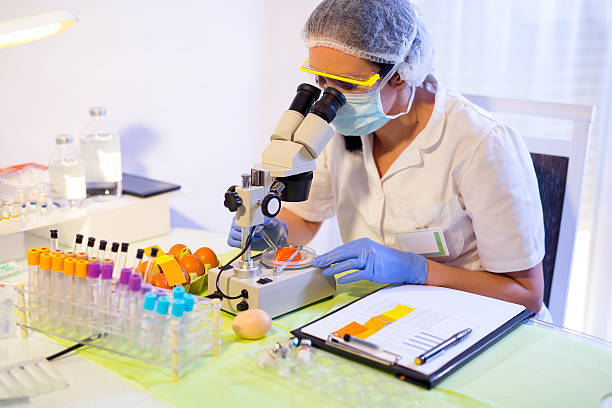 experto en control de calidad de inspección pollo huevos en el laboratorio. - bacterium biology control food fotografías e imágenes de stock