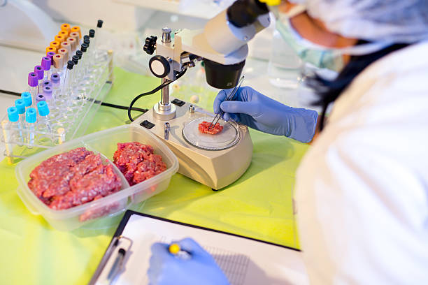 istock Food quality control expert inspecting at meat 520288078