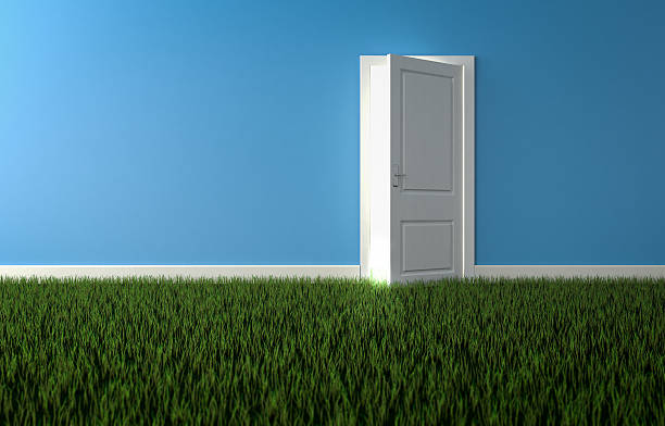 istock Bright light shining through open door in room with grass 520288596
