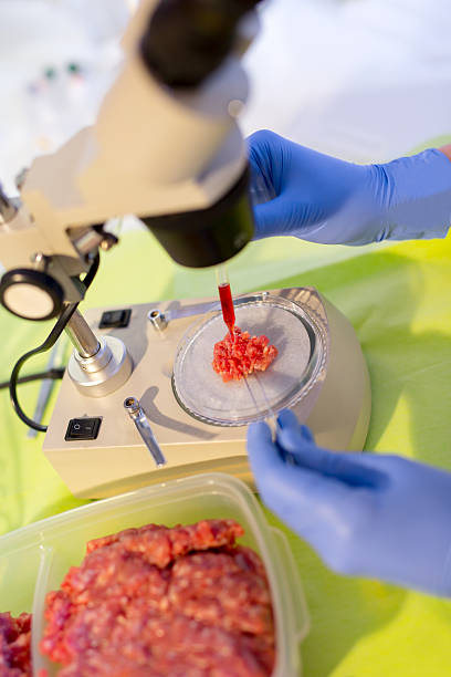 istock Food quality control expert inspecting at meat 520290306