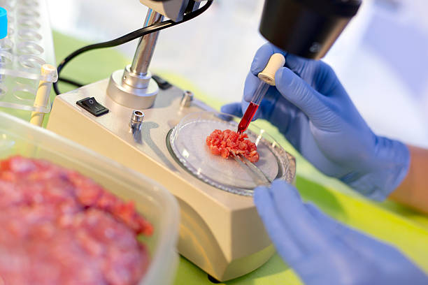 Meat Quality Inspection 8,200+ Meat Inspection Stock Photos, Pictures & Royalty-Free Images ...