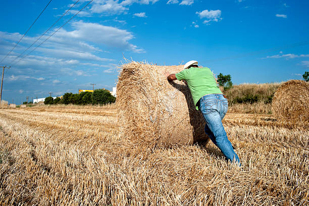 istock Farmer working at his farmland 520292949