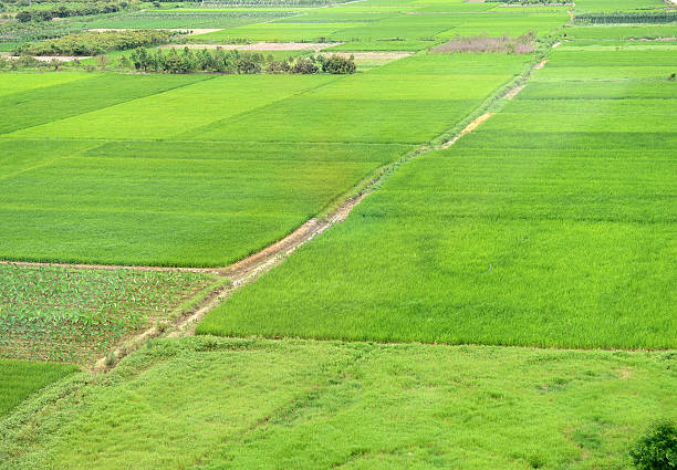 istock green farm land 520293277