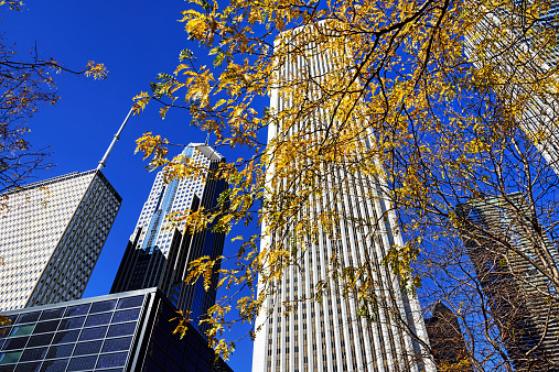Aon Center and Prudential Buildings in Autumn, Chicago