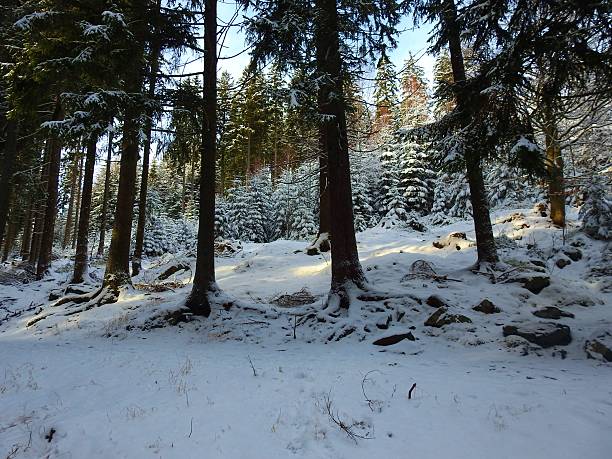 istock Krkonose Mountains, Czech Republic 520294380