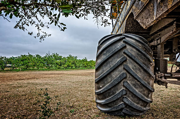For the Big Wheels in your life, a really big tractor wheel