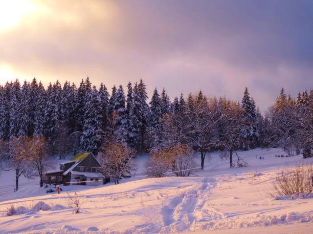 istock Krkonose Mountains, Czech Republic 520295174