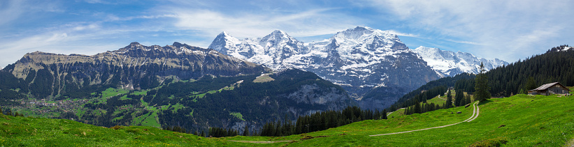 Beautfiul panorama with green fields and snow capped mountains in the Swiss Apls