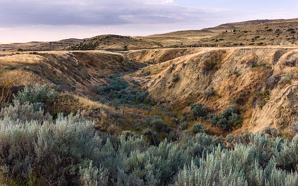 raue landschaft in billings, montana, usa. - billings stock-fotos und bilder