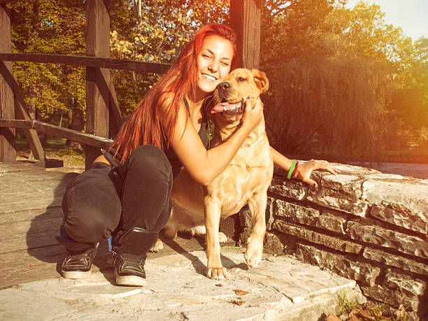 istock Young woman and labrador 520296497