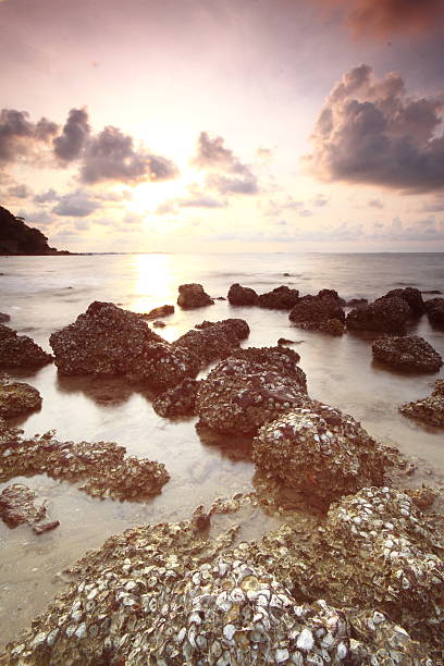istock long exposure of sea and rocks 520296675