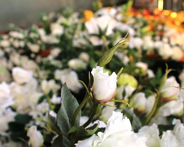 istock a rose among a thousand flowers 520298103
