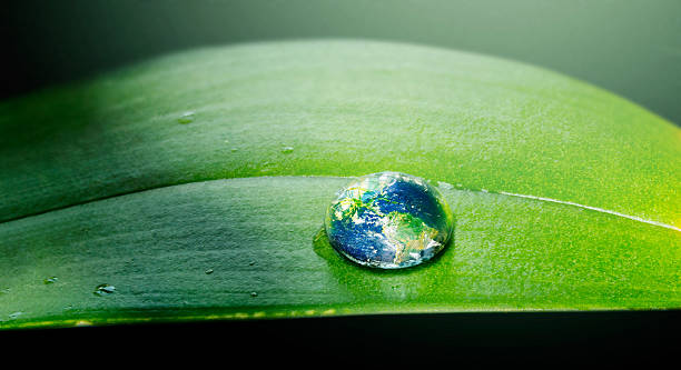 istock Nature thrives on water 520299471