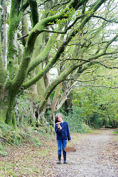 istock Treasure hunting in the forest 520299747