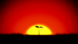 Beautiful Sunrise And Growing Tree Achievement And Progress Concept Animation  Rising Sun Gives New Life Stock Video - Download Video Clip Now - iStock