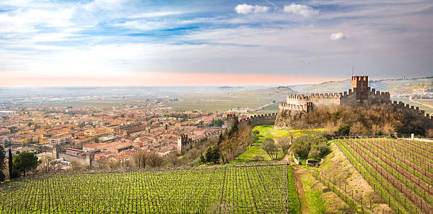 просмотр soave (италия) и его знаменитого, средневековый замок - soave стоковые фото и изображения