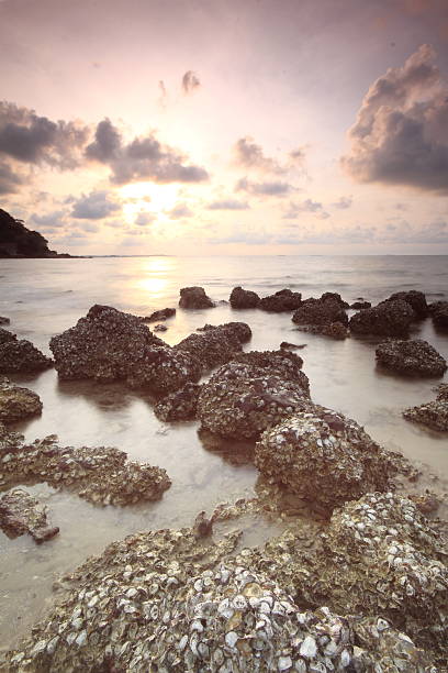 istock long exposure of sea and rocks 520321161