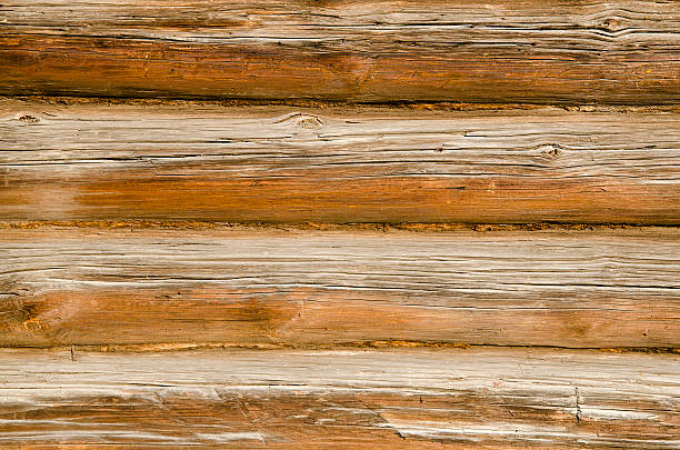istock The texture of the logs 520321646