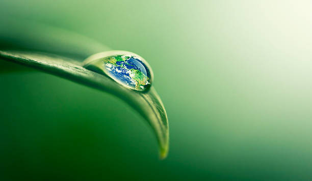 istock Water gives life 520321891