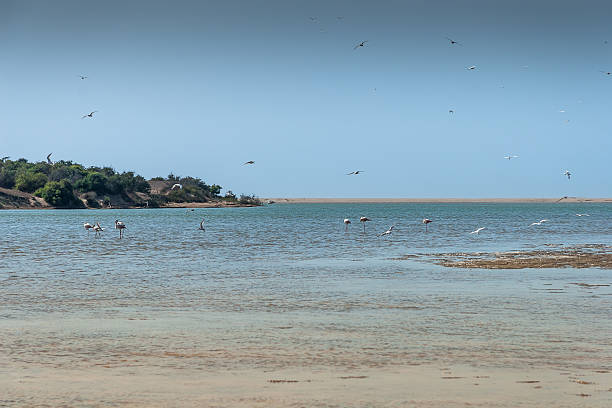istock Souss Masa National Park 520322153