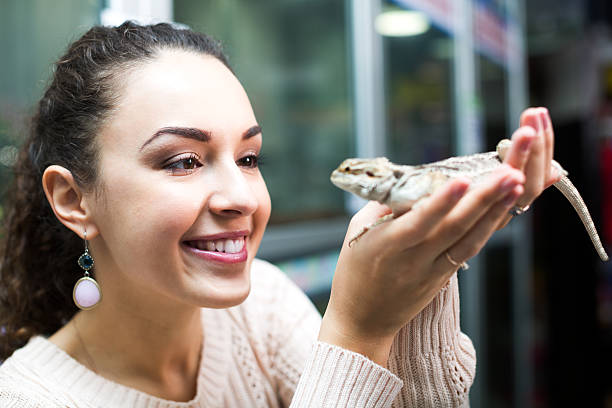 istock Female customer watching brown gecko 520323334