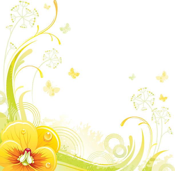 plac kwiat tło z miejsce :  żółty altówka - wedding invitation rose flower floral pattern stock illustrations