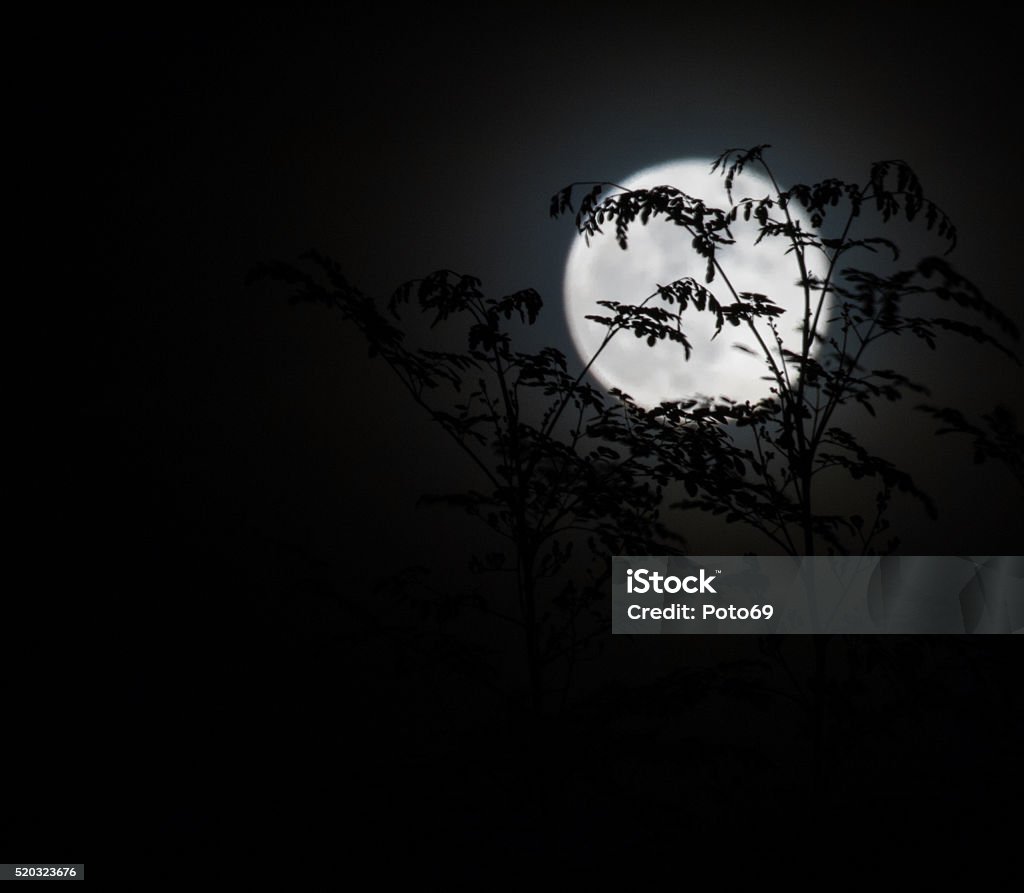 Moon Abstract Background Abstract Background Full Moon Stock Photo - Download Image Now ...