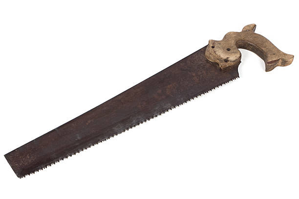 istock Photo of handsaw with wood handle 520324105