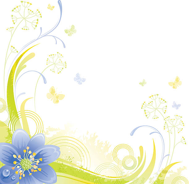 plac kwiat tło z miejsce :  niebieski przebiśnieg - wedding invitation rose flower floral pattern stock illustrations