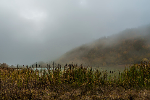 foggy autumn with lake