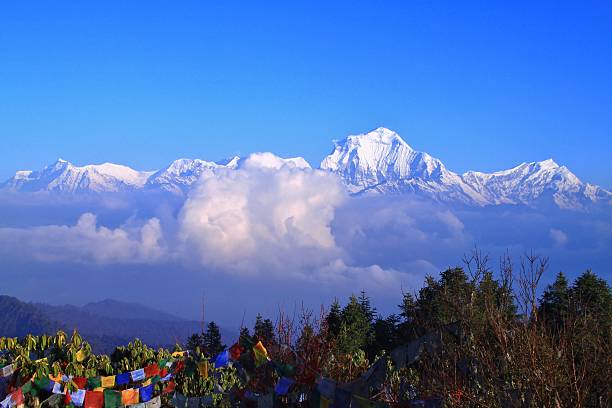 istock Annapurna mountains and tibetan prayer flags 520326627