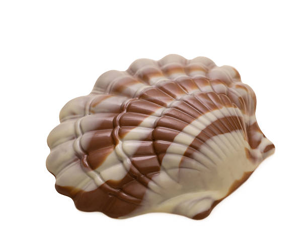 istock Tasty mixed chocolate in shape of seashell 520326649