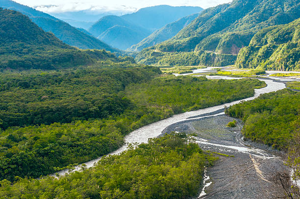 istock From Andes to Amazon, Tropical rainforest, Pastaza, Ecuador 520326864