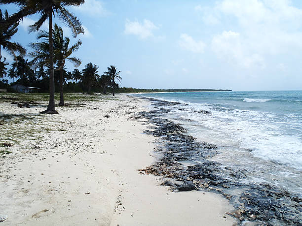 Maria La Gorda The awesome beach of  Maria La Gorda maria la gorda stock pictures, royalty-free photos & images