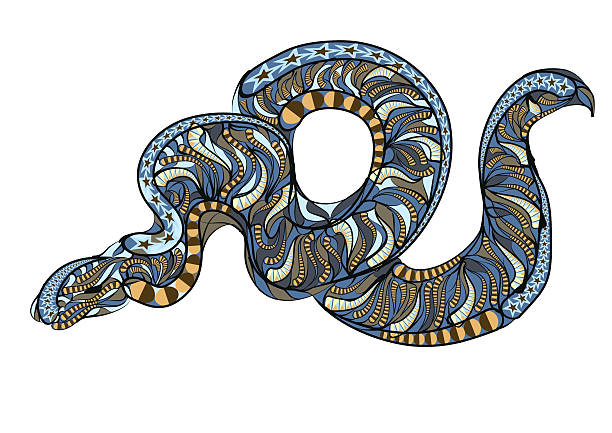 100+ Royal Python Stock Illustrations, Royalty-Free Vector Graphics ...