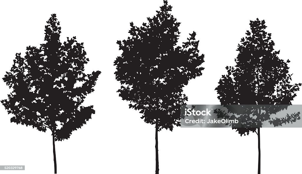 Trees Silhouettes Vector silhouettes of three trees. Tree stock vector