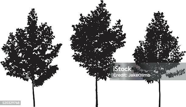 Trees Silhouettes Stock Illustration - Download Image Now - Tree, Three Objects, Black And White