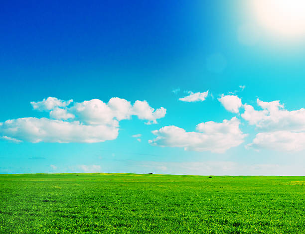 istock Vivid green meadow against bright blue sky with fluffy clouds 520331650
