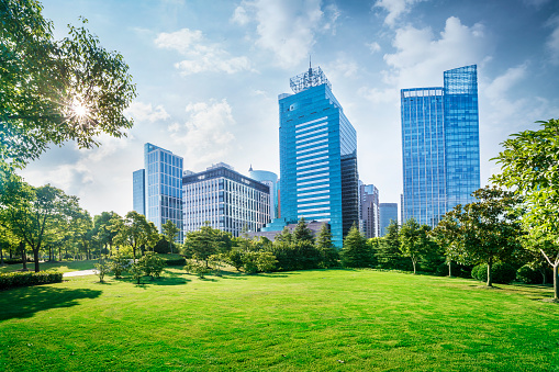 Modern building with green grass and tree,beautiful cityscape at shanghai.