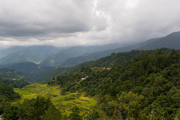 istock Banaue Rice Terraces, Philippines 520334748