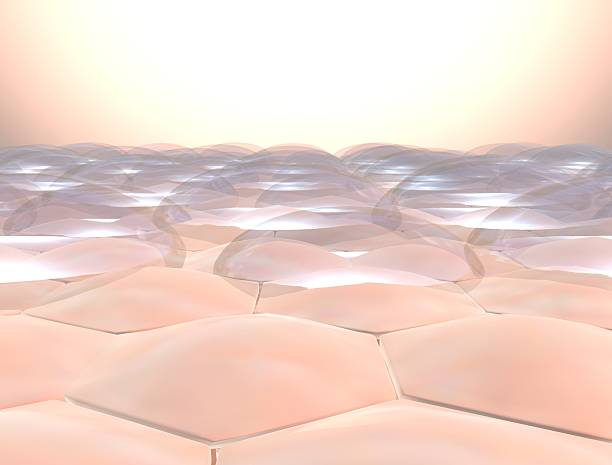 human skin closeup with water drop
