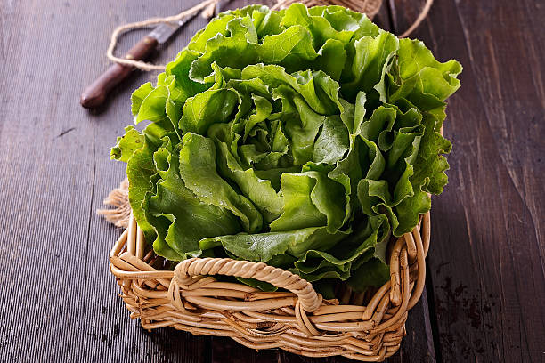 Butter lettuce in a woven basket stock photo