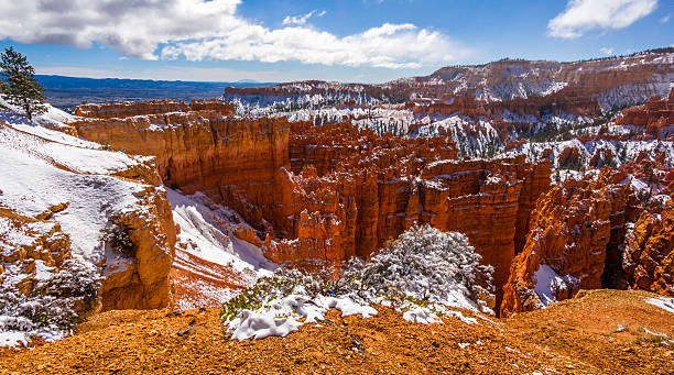 istock Colorful Bryce canyon national park, Utah 520336046