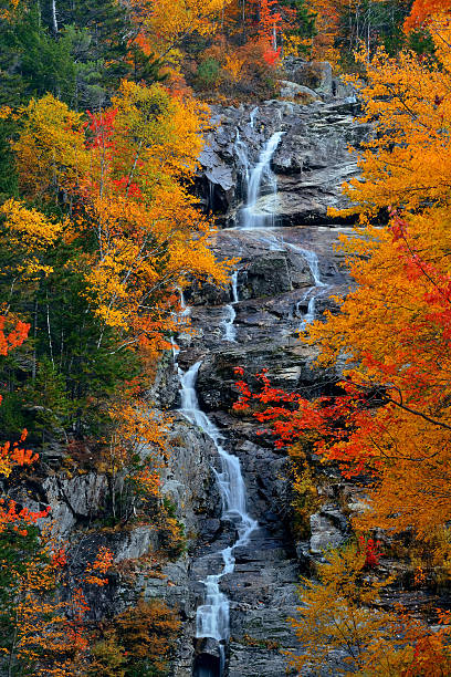 紅葉がすっかり - silver cascade falls ストックフォトと画像