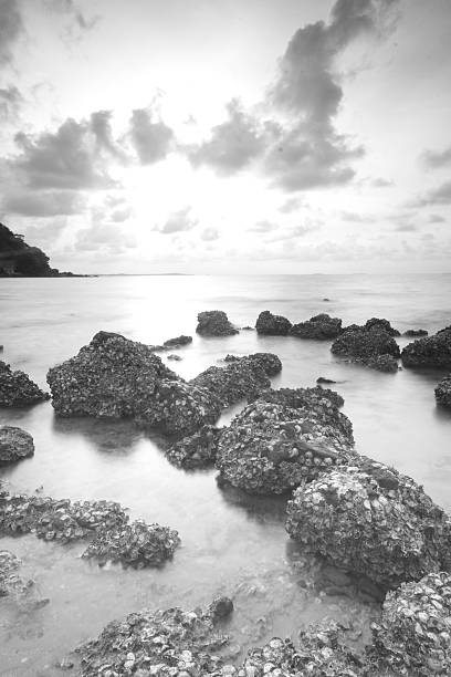 langzeitbelichtung der meer und steine - long exposure rock cloud sky stock-fotos und bilder