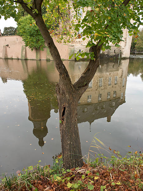 burg - burgturm ストックフォトと画像