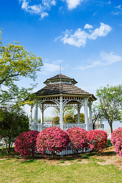 istock Traditional architecture pavilion in Chinese garden 520362330