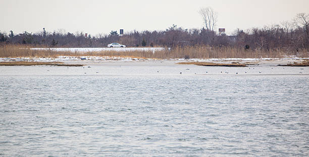 istock Long Island southern seashore 520362644