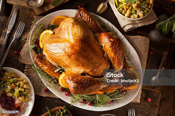 Whole Homemade Thanksgiving Turkey Stock Photo - Download Image Now - Dinner, Turkey - Bird, Turkey Meat