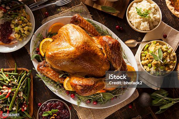 Conjunto Caseras Thanksgiving Turkey Foto de stock y más banco de imágenes de Pavo - Ave de corral - Pavo - Ave de corral, Pavo - Carne blanca, Día de Acción de Gracias